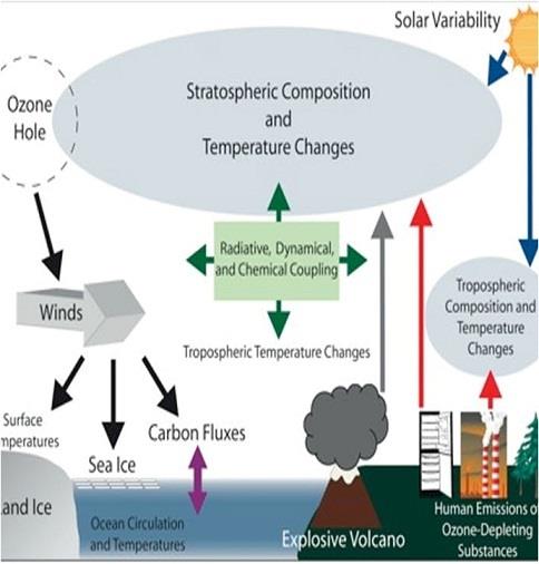 Ozone Layer Depletion Assignment figure2.jpg